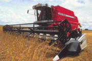 Услуги по уборке урожая 2011 - комбайн MASSEY FERGUSON 38