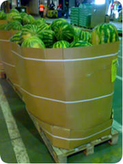 Продажа Дыни