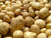 Куплю картофель