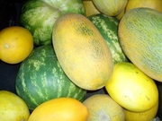 Продам арбуз и дыню оптом 