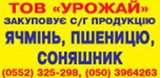 ООО Урожай - закупает сельхоз продукцию ячмень,  пшеницу,  подсолнечник.