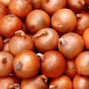 Продам лук