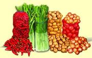 Продам сетка овощная,  мешок сетчатый Киев