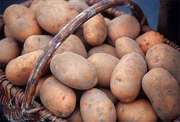 продам хороший картофель