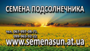 семена подсолнечника кукурузы