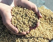 Экструдеры,  грануляторы бытовые 220 в