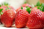 Продам клубнику,  Вінницька обл.,  смт. Томашпіль