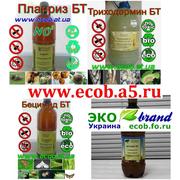 ЭКО технология выращивания Пшеницы,  подсолнуха,  кукурузы! Планриз,  Три