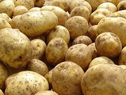 Продам ранний картофель. Сорт Ривьера