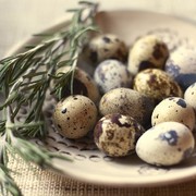 ПРОДАЮ ПЕРЕПЕЛИНЫЕ ЯЙЦА И ТУШКИ ПЕРЕПЕЛОВ