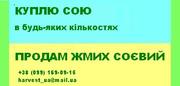 Куплю сою В будь-яких кількостях
