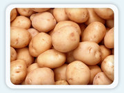ПРОДАЮ КАРТОФЕЛЬ 