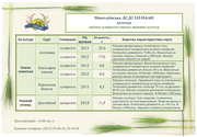 Миколаївська ДСДС ІЗЗ НААН