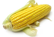 Купим кукурузу