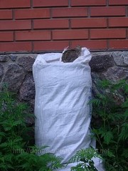 Перепелиный помет на удобрение