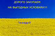 Закупка Зерновых и Масличных