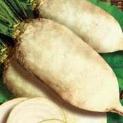 Семена  Cуданской травы, Люцерны, кормовой Свеклы, садовых   Трав