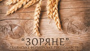 Вика - овсяная смесь по Украине недорого