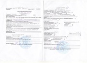 продам семечку,  подсолнечник,  подсолнух,  семена подсолнуха,  семена 