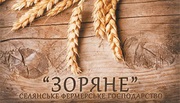 Продажа в розницу семян в Харькове.Цены Снижены.Суданка,  Люцерна,  Кукуруза,  Эспарцет,  Костер,  Фацелия,  Редька,  Вика ярая,  Буркун,  Клевер