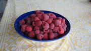 саженцы малины сорт летний Козырная