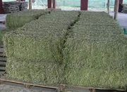 Продам сено отличного качества.