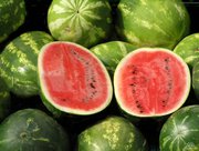 Продам арбуз. Харьковская область.