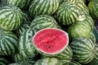 ПРОДАМ АРБУЗ,  опт                                         , 