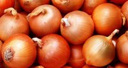 Компания реализует лук 