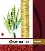 Селест Топ 312, 5 FS купить,  Селест Топ 312, 5 FS цена,  Селест Топ 312, 5 FS продажа,  Селест топ 312, 5 цена,  Селест топ 312, 5 купить,  Селест топ 312, 5 FS не дорого,  Селест топ 312, 5 FS картофель