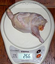 Мясо перепела (тушки)