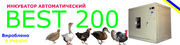 Инкубатор BEST – 200 заводского исполнения