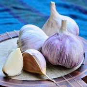 Продам чеснок озимый посадочный цена дог.