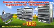 Клеточное оборудование для замкнутого цикла выращивания перепелов 