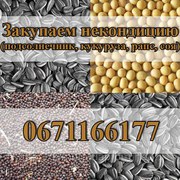 Куплю зерноотход и отходы сельхоз культур!