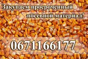 куплю просроченный посевной материал! 