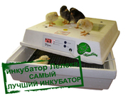 Инкубаторы Лелека для яиц