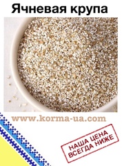 Крупа ячневая (оптом)