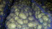 Картофель