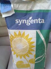 Семена подсолнечника Syngenta (Сингента) Брио,  Рокки,  Неома. Оригинал 