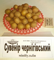 мини бульбы,  минибульбы,  мини-бульбы,  мінібульби,  міні бульби,  міні