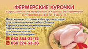 Фермерский бройлер! Высший сорт и качество!