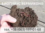 Органическое удобрение Биогумус ВЕРМИКОН®