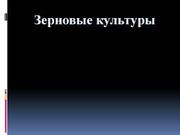 Грейн Трейд