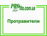 Протравители семян зерновых и овощных культур. 
