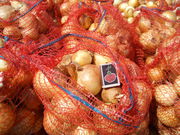 Лук репчатый продам