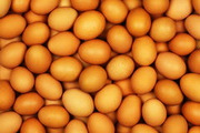 Инкубационное яйцо кур