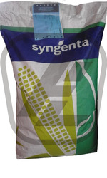 Семена кукурузы Сингента (Syngenta)