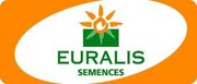 Семена кукуруза Евралис (Euralis semences)