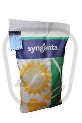 Семена подсолнечника Сингента (Syngenta)